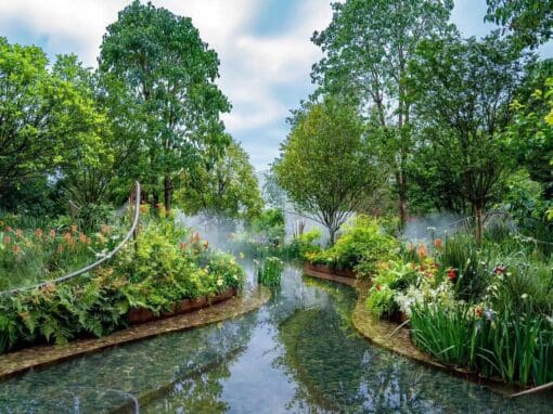 Shenzhen Flower Show 2023